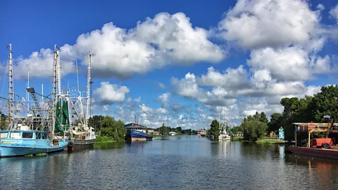Eliot Stein It’s easy to get lost deep in Louisiana’s swampy south-eastern corner (Credit: Eliot Stein)
