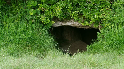 Black Donkey Brewing Oweynagat cave in north-western Ireland is said to be the entrance to the underworld (Credit: Black Donkey Brewing)
