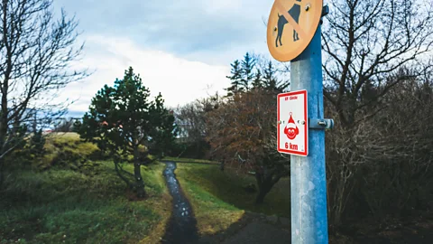 Ian Young Huldufólk, or ‘hidden people’, are believed to be peaceful creatures who indulge in the same daily activities as humans (Credit: Ian Young)