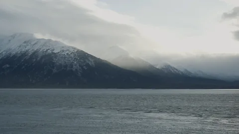 Michael Downey (Credit: Michael Downey)