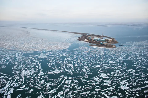 Alamy (Credit: Alamy)