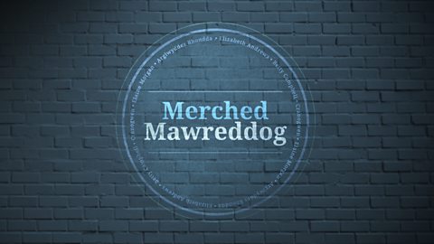 Merched Mawreddog