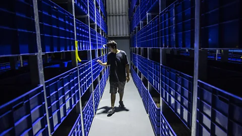 Taylor Weidman (Credit: Taylor Weidman)