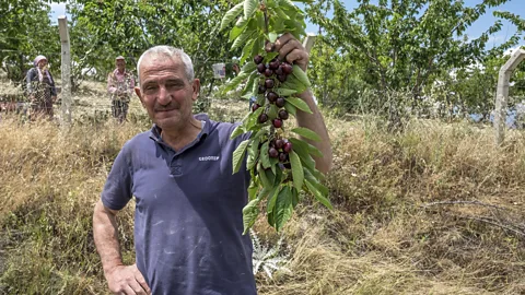 Nori Jemil Pomegranate, grape and cherry farmers surround Pamukkale (Credit: Nori Jemil)