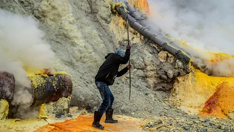 Aurelie Marrier d'Un​ienville/INSTITUTE (Credit: Aurelie Marrier d'Un​ienville/INSTITUTE)