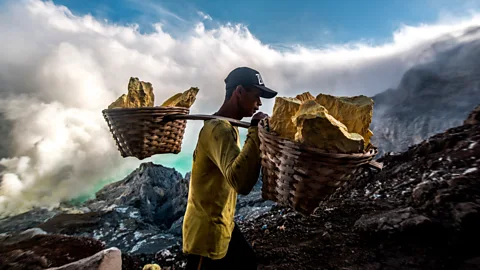 Aurelie Marrier d'Un​ienville/INSTITUTE (Credit: Aurelie Marrier d'Un​ienville/INSTITUTE)