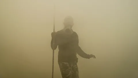 Aurelie Marrier d'Un​ienville/INSTITUTE (Credit: Aurelie Marrier d'Un​ienville/INSTITUTE)