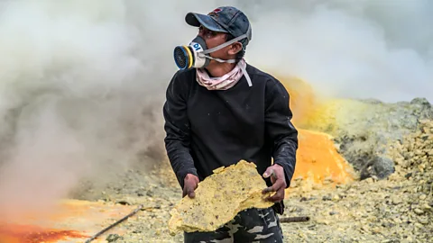 Aurelie Marrier d'Un​ienville/INSTITUTE (Credit: Aurelie Marrier d'Un​ienville/INSTITUTE)