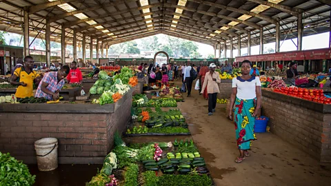 Sibylle Grunze Market waste is one important potential source of compost (Credit: Sibylle Grunze)