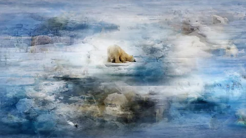 Maja Petric The view of climate change in the Arctic is dominated by pictures of polar bears on ice flows (Credit: Maja Petric)