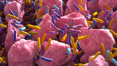 Getty Images Artists impression of gut flora (Credit: Getty Images)