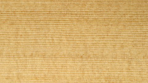 The texture of spruce - orange cream in colour with dark and parallel lines through it.