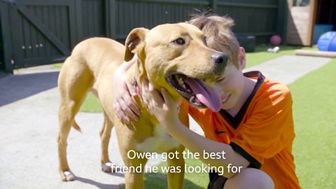 BBC One Give a Dog a Home