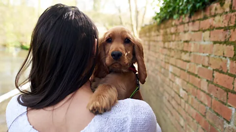 Alamy (Credit: Alamy)