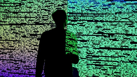 Getty Images An installation by Japanese artist Ryoji Ikeda aiming to 'challenge the limits of human perception and digital technology' (Credit: Getty Images)