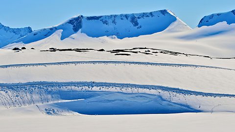 Arctic tundra biome