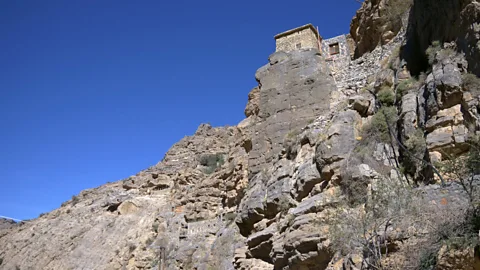 Ibrahim Shehab (Credit: Ibrahim Shehab)