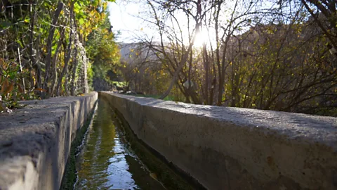 Ibrahim Shehab (Credit: Ibrahim Shehab)