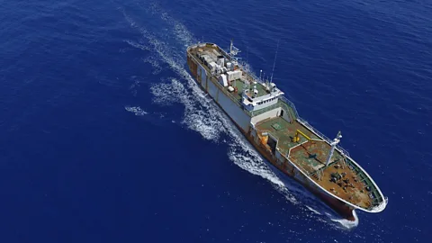 Legitimacy at Sea: Is Sea Shepherd a Navy or Piracy?