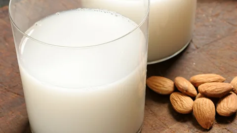 Why humans have evolved to drink milk