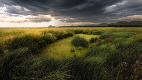 Heavy storm clouds over windswept moorland