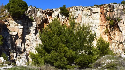 Stav Dimitropoulos Marble from Penteli, the mountain where Davelis Cave is located, was used to construct the Parthenon, among other notable Greek monuments (Credit: Stav Dimitropoulos)