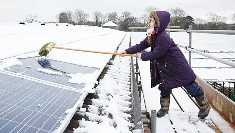 Creative Commons (Credit: Creative Commons)