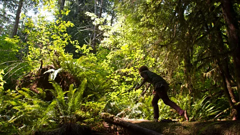 Why walking makes you a better worker