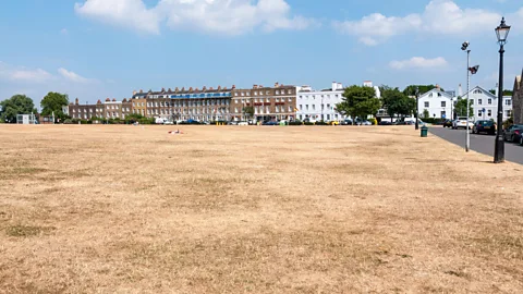 Alamy London has suffered a series of serious droughts in recent years (Credit: Alamy)