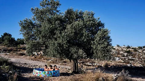 Tanya Habjouqa/NOOR West Bank, 15 August 2013: Three boys splash around in a plastic swimming pool (Credit: Tanya Habjouqa/NOOR)