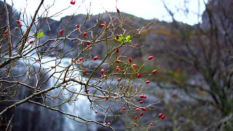 Anisha Shah (Credit: Anisha Shah)