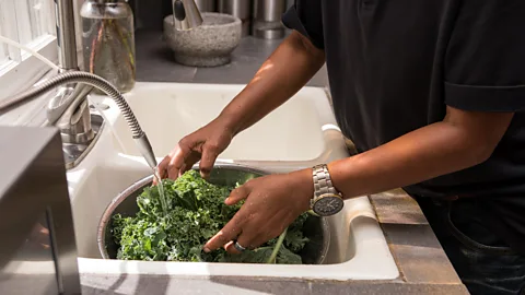 Getty Nitrates in leafy greens are less likely to form cancer-causing nitrosamines and have plenty of health benefits (Credit: Getty)