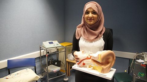 Amun with a model of the human ear