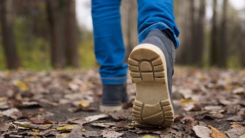 A close up shot of someone's lower legs and shoes walking in a forest