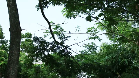 Kalpana Pradhan (Credit: Kalpana Pradhan)