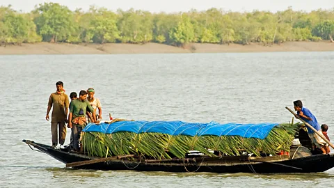 Images & Stories/Alamy (Credit: Images & Stories/Alamy)