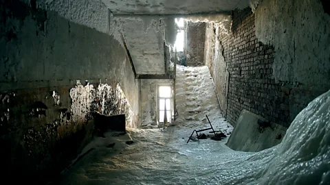 Elena Chernyshova (Credit: Elena Chernyshova)