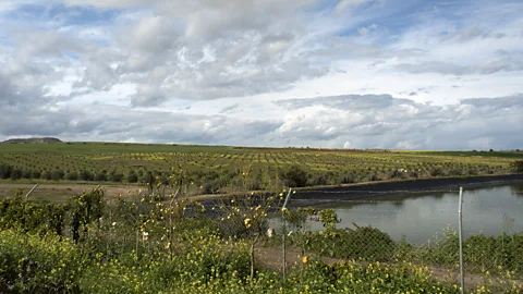 Nikolia Apostolou (Credit: Nikolia Apostolou)