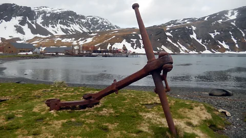 Shafik Meghji Grytviken, South Georgia’s first whaling station, is the site of the island’s main settlement (Credit: Shafik Meghji)