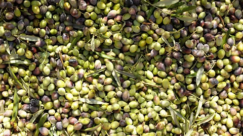 crozstudios/Alamy (Credit: crozstudios/Alamy)