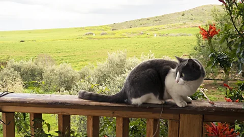 Nikolia Apostolou (Credit: Nikolia Apostolou)