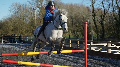 Evie on her horse jumping over a fence.