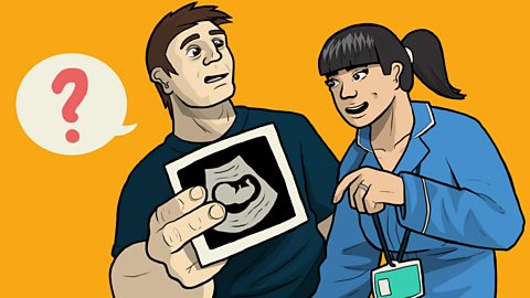 Illustration of a dad talking to a midwife about a baby scan image.