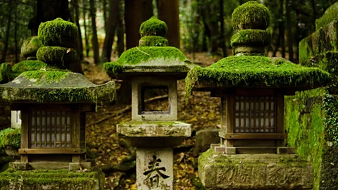 Despite his grief, Iyer searches for signs of joy (Andreas Altenburger/Alamy)
