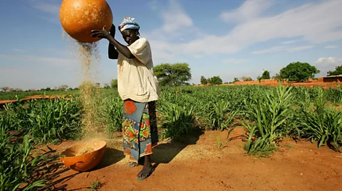 Getty Images Subsistence farmers may be best placed to recover from catastrope because they are self-sufficient (Credit: Getty Images)