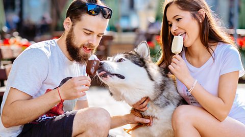 Licking the same ice cream