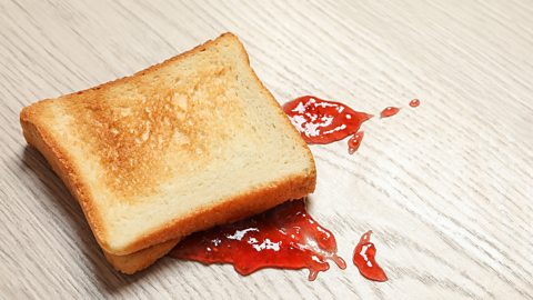 The five-second rule