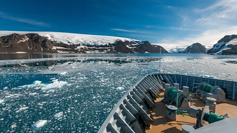 Martin Iverson Where whales come to say hello