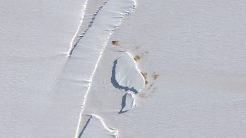 Penguin poo in Antarctica seen from space