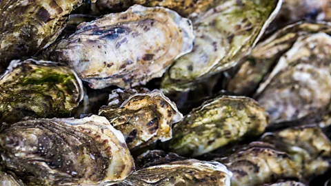 Getty Images Filter feeders such as oysters are particularly sensitive to levels of pollution (Credit: Getty Images)